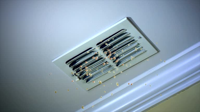 Best Best Air Duct Cleaning Near Me  in Grand Blanc, MI