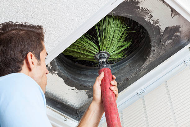 Best Local Air Duct Cleaning Services  in Grand Blanc, MI